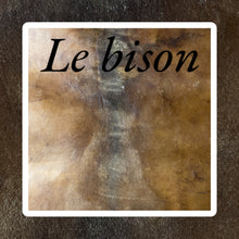 Charger l'image dans la galerie, Créez votre tambour sacré